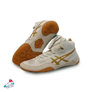 کفش کشتی اسیکس